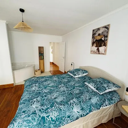 Le Toit Terrasse L 2 L Terrasse * Castres (Tarn)