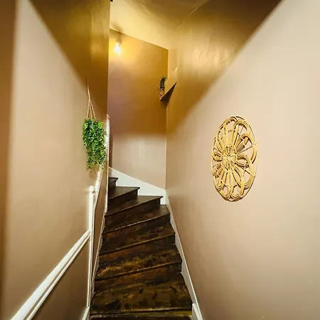 Appartement Le Toit Terrasse L 2 L Terrasse Castres (Tarn)